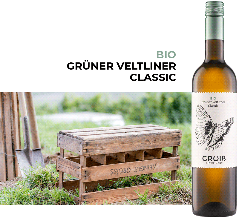 Wein 1 Beschreibung