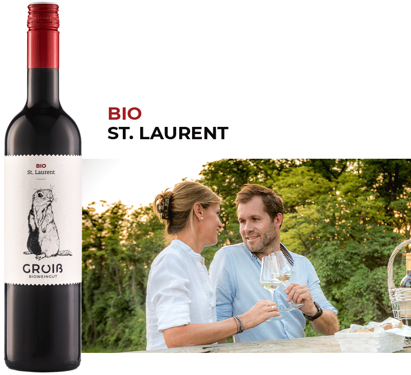 Wein 12 Beschreibung