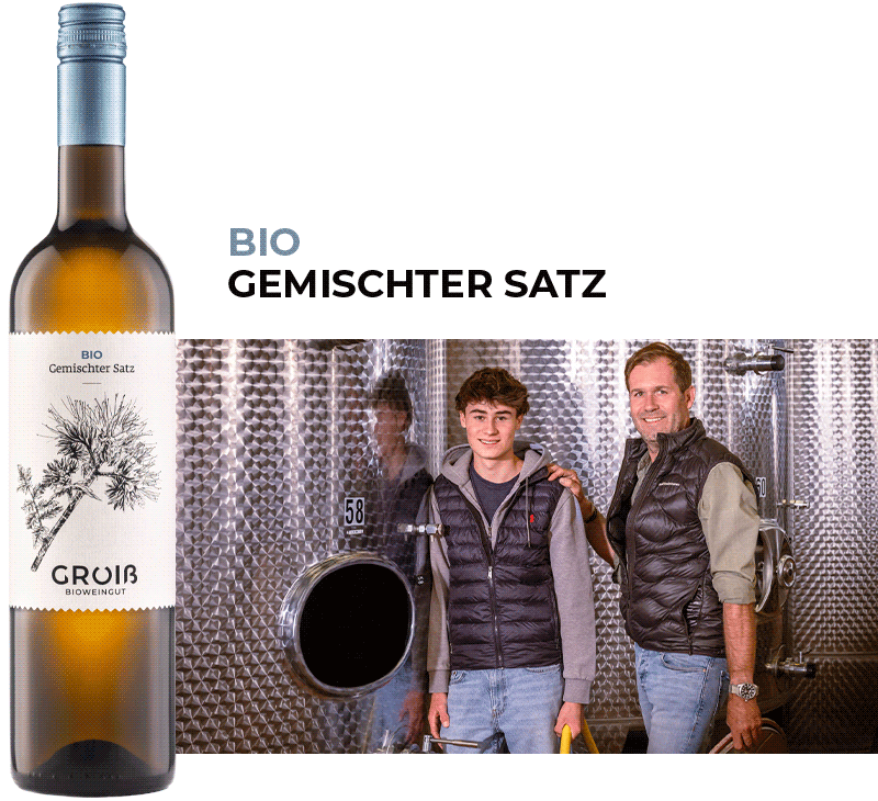 Wein 2 Beschreibung