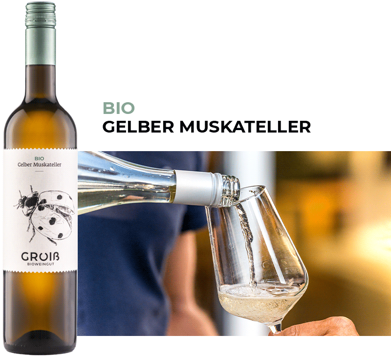 Wein 4 Beschreibung