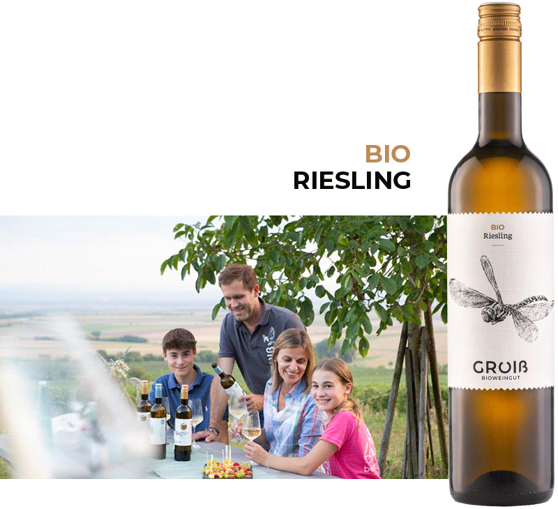 Wein 7 Beschreibung