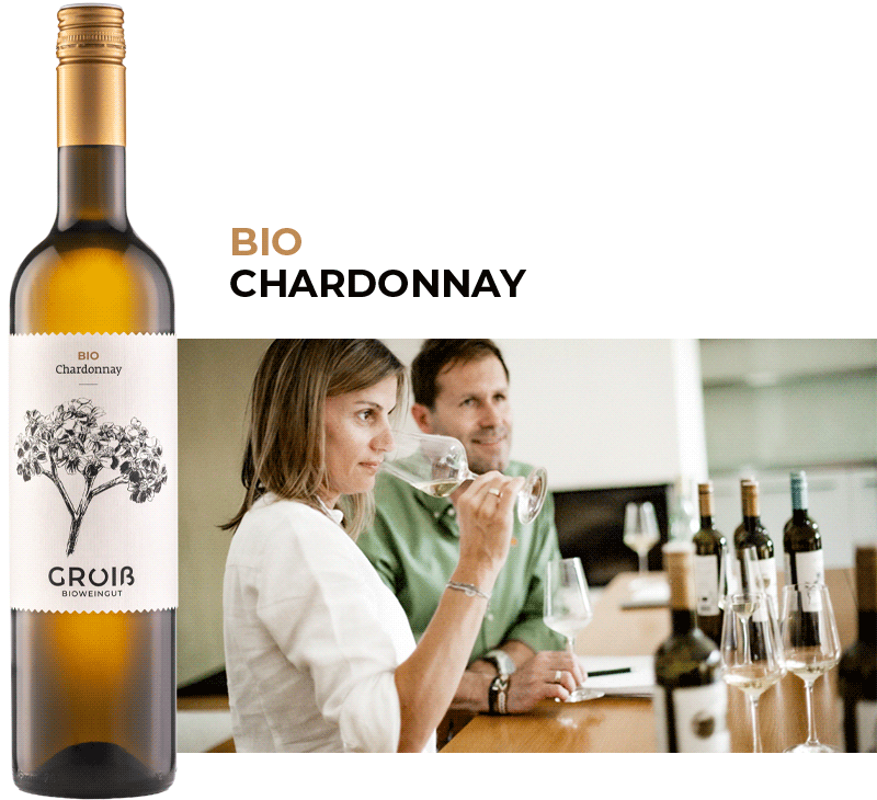 Wein 8 Beschreibung